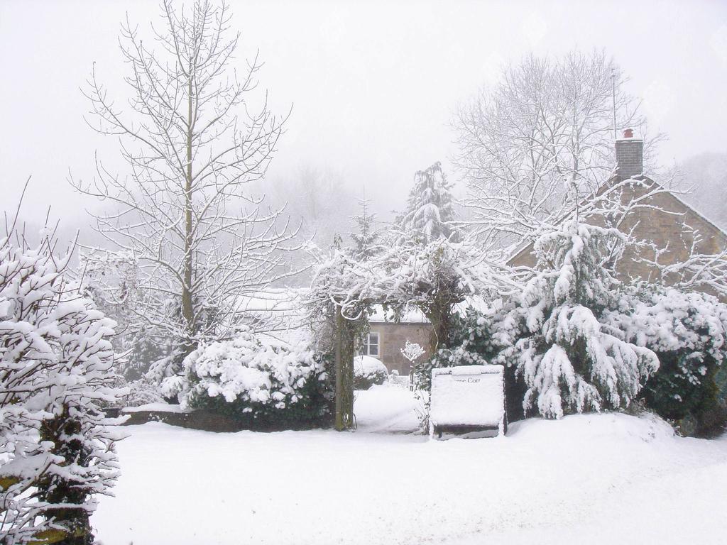 Thorpe Cottage Country Guest House آشبورن المظهر الخارجي الصورة